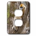 thumbnail image 1 of 3dRose, China, Qinling Mountains, female Golden monkey - AS07 AGA0019 - Alice Garland, 2 plug outlet cover, 1 of 1