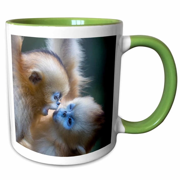 3drose, China. Wild Snub-nosed Monkey Babies Playing., 11oz Two-tone Green Mug