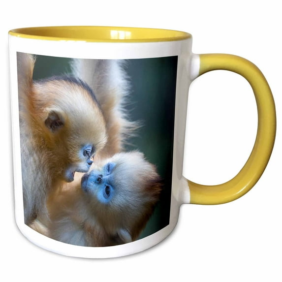 3drose, China. Wild Snub-nosed Monkey Babies Playing., 11oz Two-tone Yellow Mug