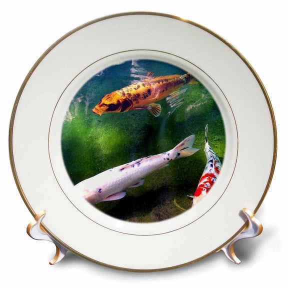 3dRose, Chinese Koi Carp Fish, 8 inch Porcelain Plate