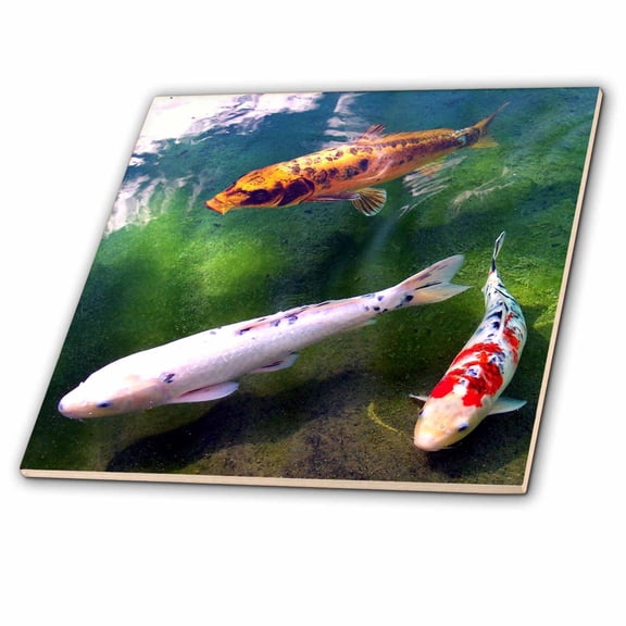 3dRose, Chinese Koi Carp Fish, 4 Inch Ceramic Tile