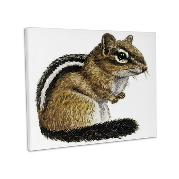 3dRose, Chipmunk, Museum Grade Canvas Wrap 20x16