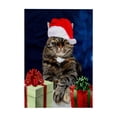 thumbnail image 1 of 3dRose, Christmas Cat Humbug Photo Wearing Santa Hat Wrapped Gifts Image, 15x22 Hand Towel, 1 of 1