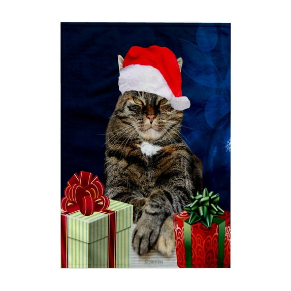 3dRose, Christmas Cat Humbug Photo Wearing Santa Hat Wrapped Gifts Image, 15x22 Hand Towel