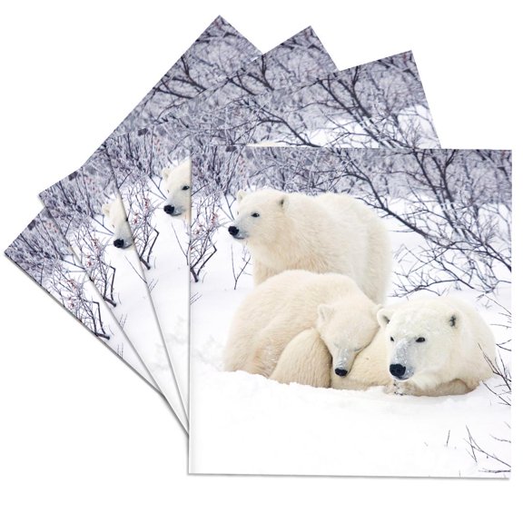 3dRose, Churchill Wildlife Management Area - Polar Bears and Two cubs, Set of 4 Ceramic Tile Coasters