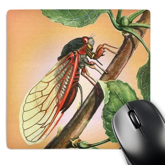 3dRose, Cicada - cicada, cicadas, magicicada septendecim, insect, insects, bugs, winged insects, MousePad