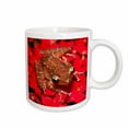 thumbnail image 1 of 3drose, Cinnamon Tree Frog, Borneo - Na02 Aje0405 - Adam Jones, 11oz Mug, 1 of 6
