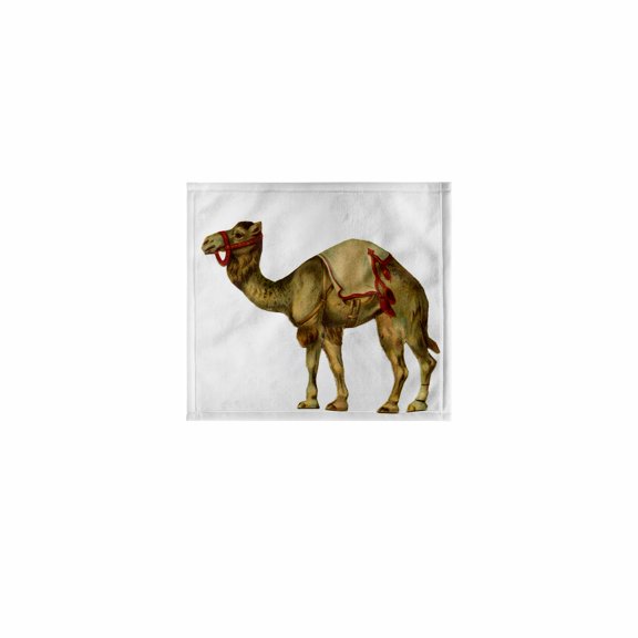 3dRose, Circus Camel, 11x12 Wash Cloth for Face and Body