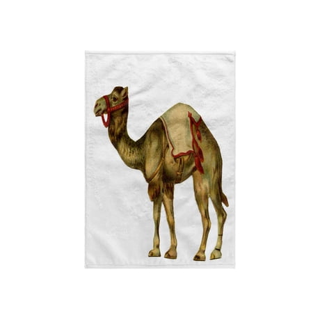 3dRose, Circus Camel, 15x22 Hand Towel