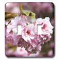 thumbnail image 1 of 3dRose, Close Up Of Cherry Blossoms, double toggle switch, 1 of 1