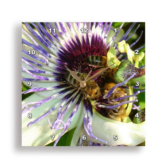 3dRose, Close Up Of Passion Flower with Honey Bee, 15x15 Wall Clock