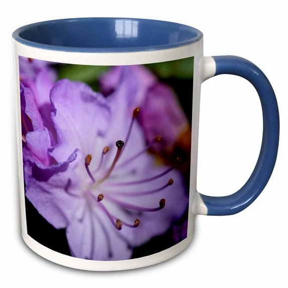 3drose, Close-up of Purple Azalea., 11oz Two-tone Blue Mug