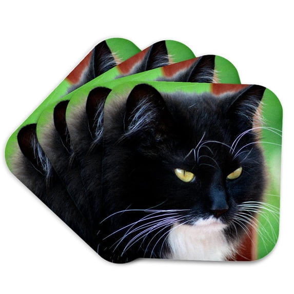3drose, Close up of Black and White Kitty Cat, Set of 4 Coasters - Soft