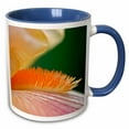 thumbnail image 1 of 3drose, Close-up of Hybrid Bearded Iris Flower, Louisville, Ky-af21 Aje0256 - Adam Jones, 11oz Two-tone Blue Mug, 1 of 6