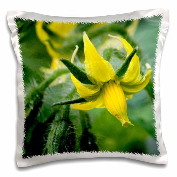 3dRose, Close-up of young squash blossom., 16x16 inch Pillow Case