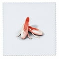 thumbnail image 1 of 3dRose, Closeup Of Ballet Slippers, 12x12 inch quilt square, 1 of 1