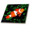 thumbnail image 1 of 3dRose, Clown Anemone Fish, 4 Inch Ceramic Tile, 1 of 1