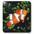 thumbnail image 1 of 3dRose, Clown Anemone Fish, double toggle switch, 1 of 1