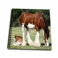 thumbnail image 1 of 3dRose, Clydesdale Mare And Foal horses, Memory Book 12 x 12 inch, 1 of 1