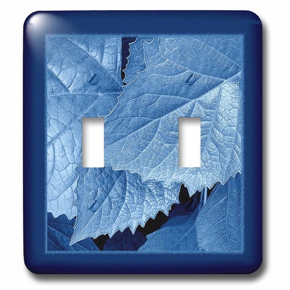 3dRose, Cobalt blue metallic leaves with royal blue frame, double toggle switch