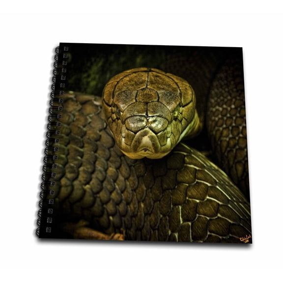 3dRose, Cobra Snake Green Coiled, Memory Book 12 x 12 inch