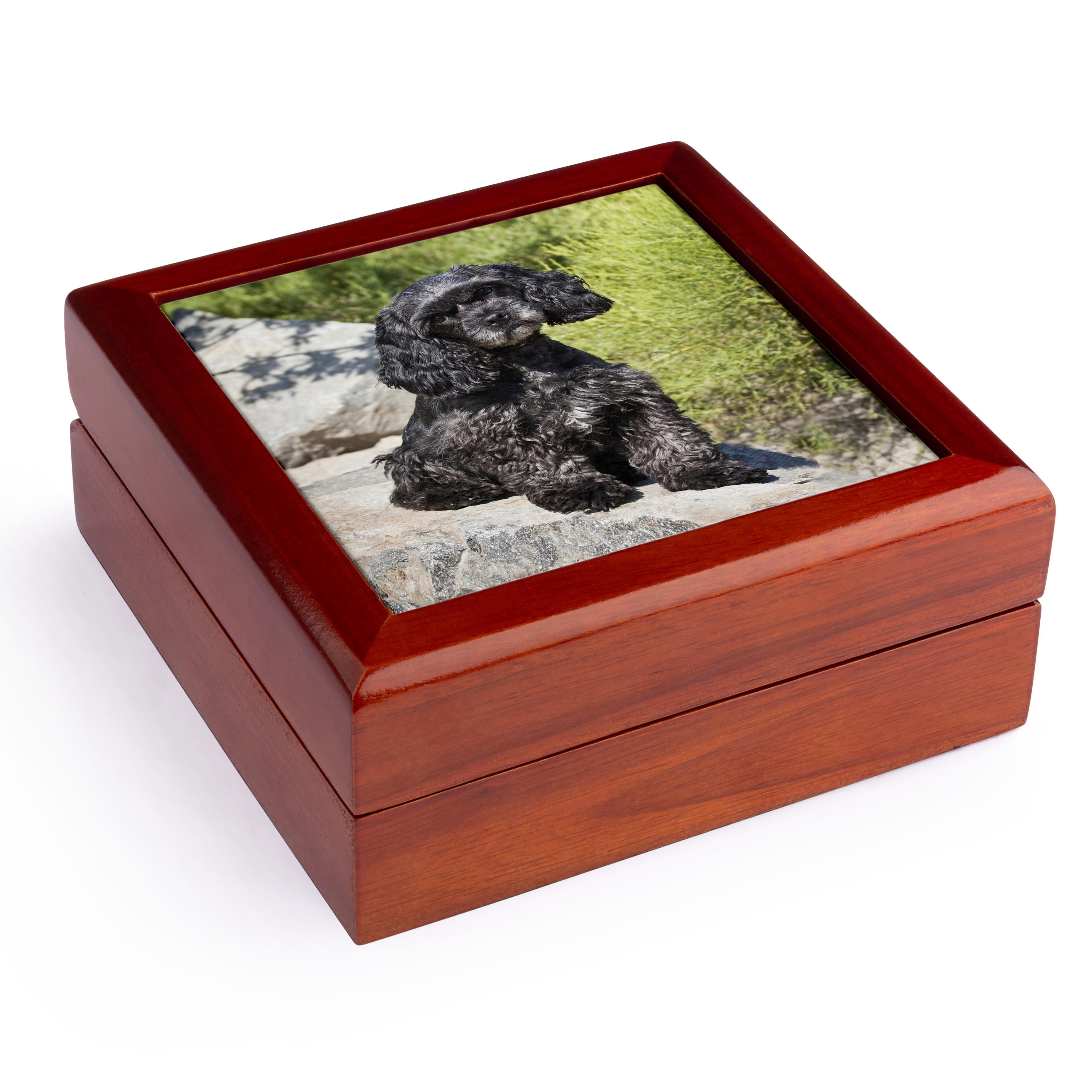 3dRose, Cockapoo dog sitting on some boulders - NA02 ZMU0111 - Zandria Muench Beraldo, Jewelry Box 5.5x5.5 inch with 4 inch tile