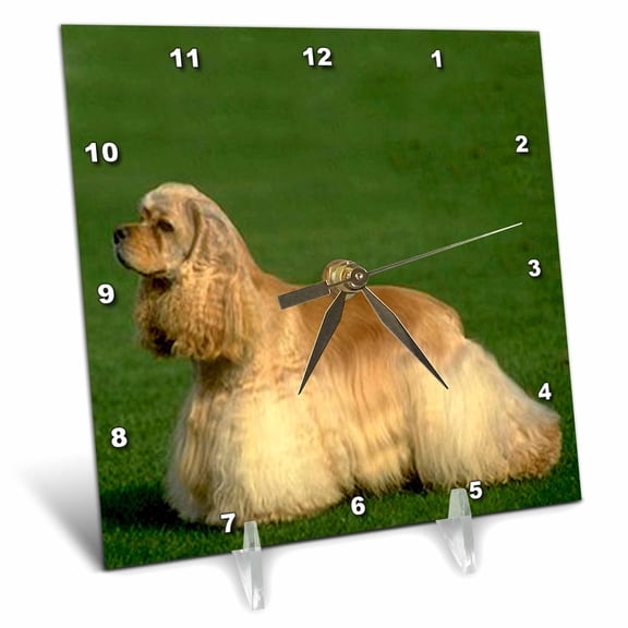 3dRose, Cocker Spaniel, 6x6 Desk Clock