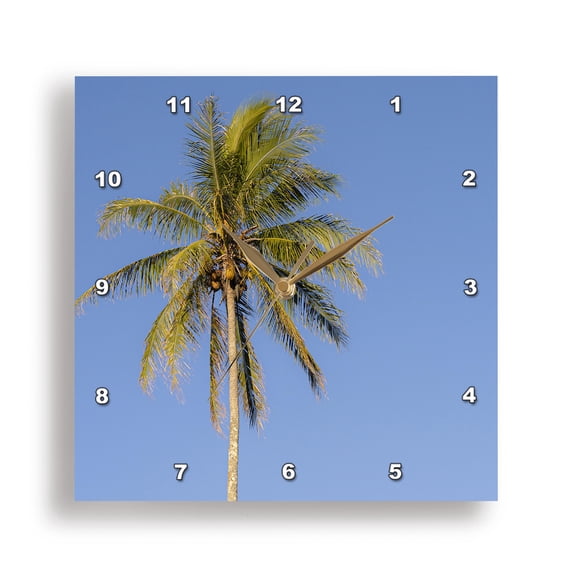 3dRose, Coconut palms against an Hawaiian sky, Hamakua Coast, Hawaii, 15x15 Wall Clock
