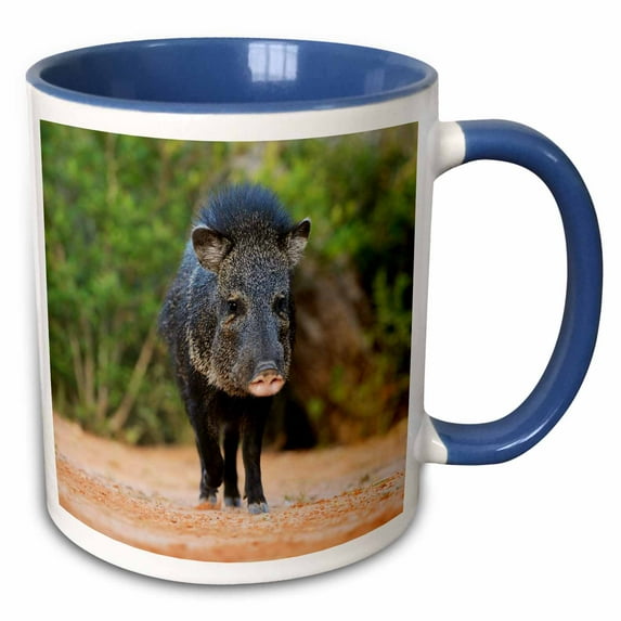 3drose, Collared Peccary, Javelina, Tayassu Tajacu, Adult, South Texas, Usa, 11oz Two-tone Blue Mug
