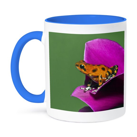 3dRose, Colon Isle Dart Frog, aka Strawberry Poison-Dart Frog - NA02 AJE0417 - Adam Jones, 11oz Two-Tone Blue Mug