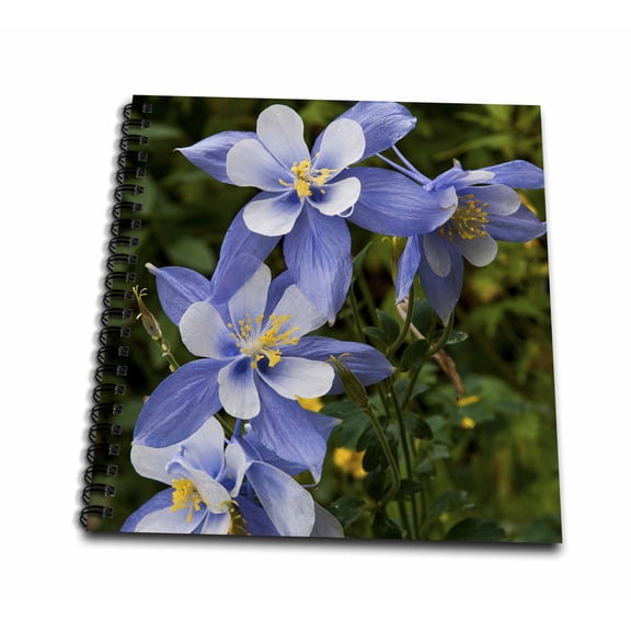 3dRose, Colorado Blue Columbine, aquilegia caerulea, near Telluride Colorado, Memory Book 12 x 12 inch