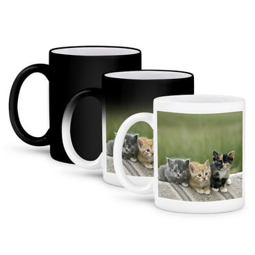 3dRose, Colorado, Divide. Barn kittens, Cats - US06 BJA0186 - Jaynes Gallery, 11oz Magic Transforming Mug