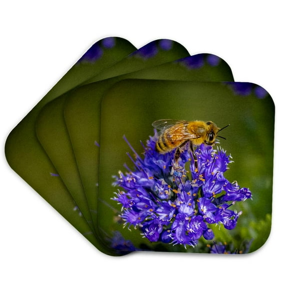 3drose, Colorado, Fort Collins. Honey Bee on Spirea Flowers., Set of 4 Coasters - Soft