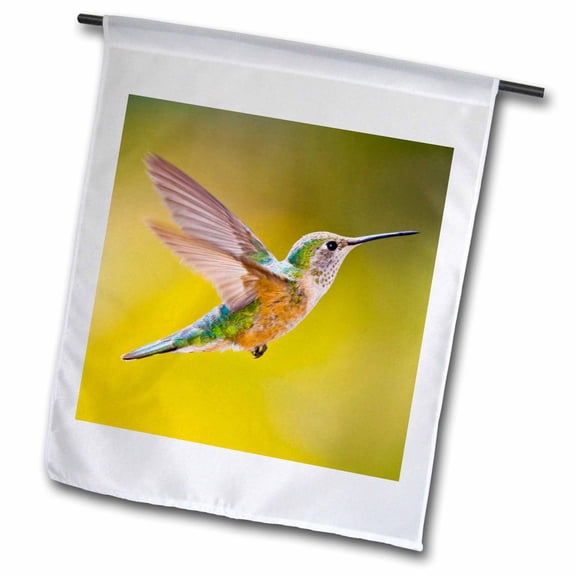 3dRose, Colorado, Summit Co., Heeney, rufous hummingbird - US06 BJA0086 - Jaynes Gallery, 12 x 18 inch Garden Flag