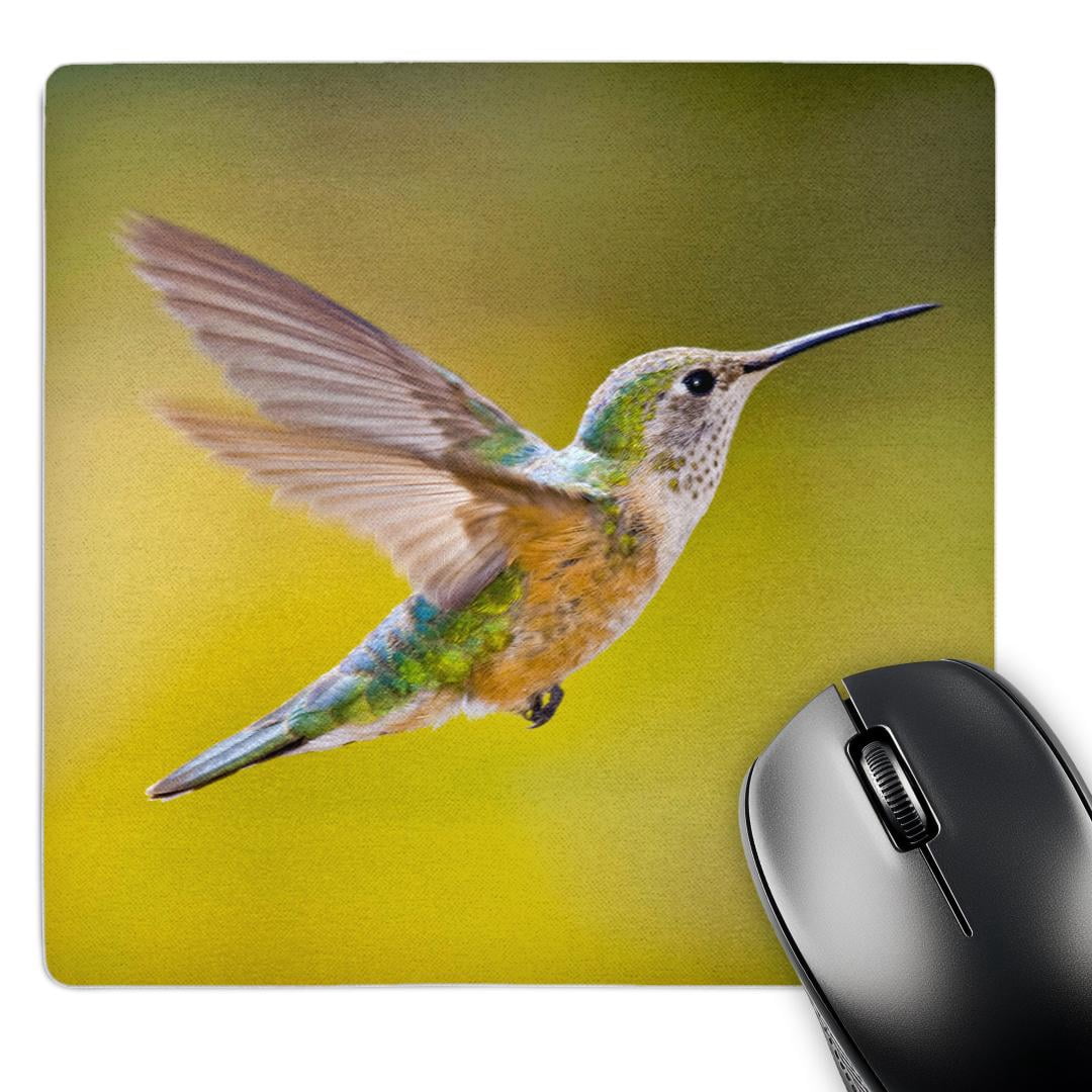 Hummingbird Mouse 3dRose, Colorado, Summit Co., Heeney, rufous hummingbird - US06 BJA0086 ...
