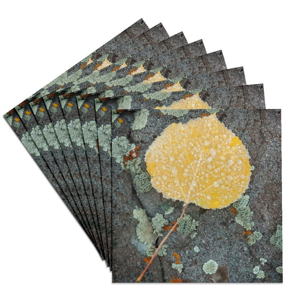 3dRose, Colorado, Uncompahgre National Forest. Frozen aspen leaf., Set of 8 Ceramic Tile Coasters