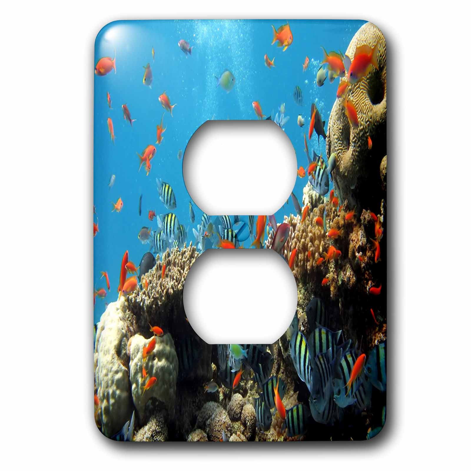 3dRose, Colorful Fish Among The Coral, 2 plug outlet cover