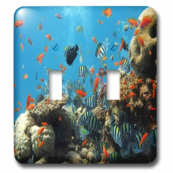 3dRose, Colorful Fish Among The Coral, double toggle switch