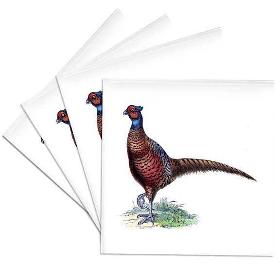 3dRose, Colorful Vintage Drawing Of A Red Pheasant, Set of 4 Ceramic Tile Coasters