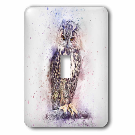 3dRose, Colorful Watercolor Background with Owl Bird Portrait, single toggle switch