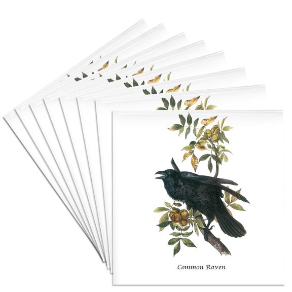 3dRose, Common Raven by John James Audubon, Set of 8 Ceramic Tile Coasters