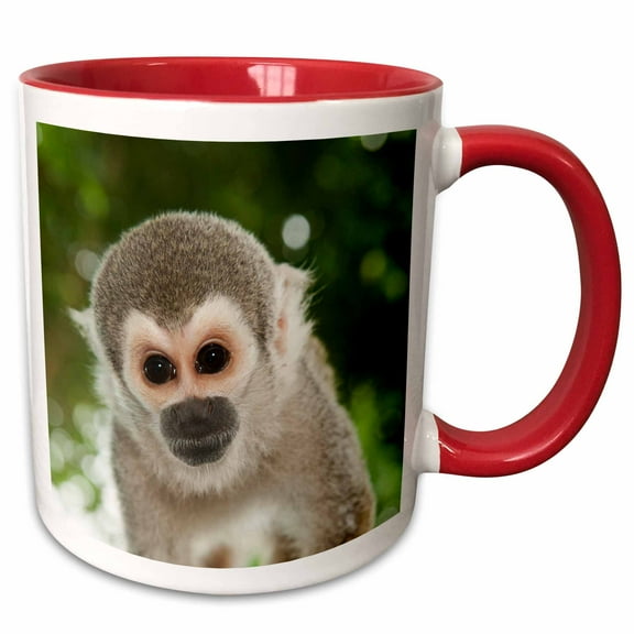 3drose, Common Squirrel Monkey Captive Pet, Coca Town, Amazon, Ecuador., 15oz Two-tone Red Mug