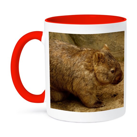 3dRose, Common Wombat, baby in pouch, captive, Australia-AU01 POX0183 - Pete Oxford, 11oz Two-Tone Red Mug