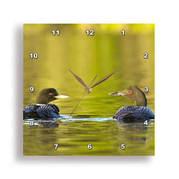 3dRose, Common loon bird on Beaver Lake, Whitefish, Montana - US27 CHA2441 - Chuck Haney, 13x13 Wall Clock