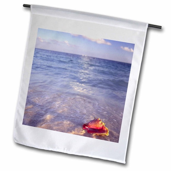 3dRose, Conch Shell, Grand Bahama Island, Caribbean-CA05 JDA0000 - Janell Davidson, 18 x 27 inch Garden Flag