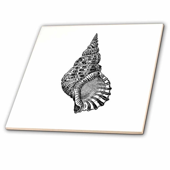 3dRose, Conical seashell. Black and white beach sea shell spiral illustration, 8 Inch Ceramic Tile