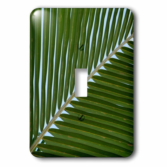 3dRose, Cook Islands. Palmerston Island. Detail of palm tree., single toggle switch