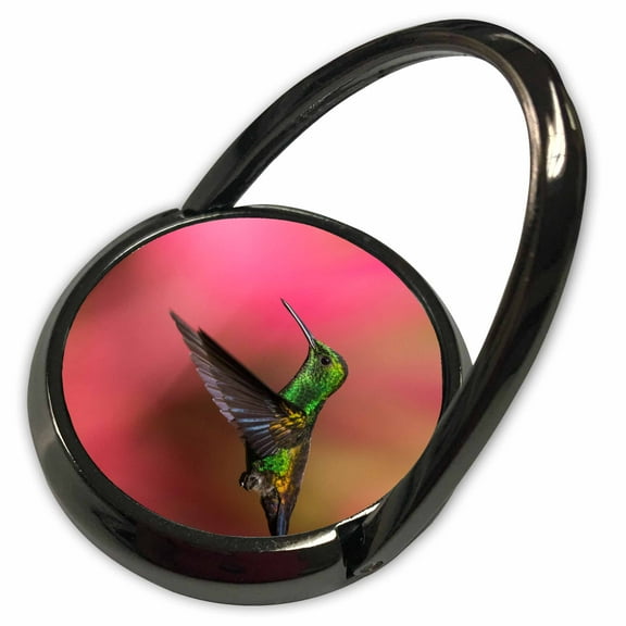 3dRose, Copper-rumped Hummingbird, Phone Ring