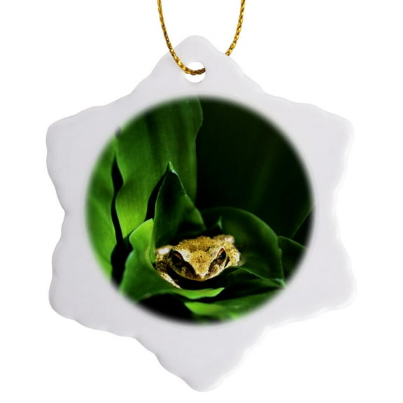 3dRose, Coqui Frog in Puerto Rico-CA11 DFR0000 - David R. Frazier, 3 inch Snowflake Porcelain Ornament