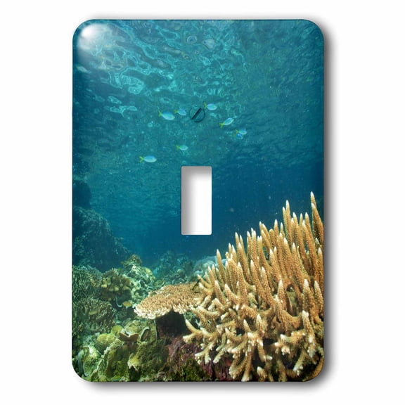 3dRose, Coral Reef, Fusilier fish, Raja Ampat, Papua - OC12 SWS0017 - Stuart Westmorland, single toggle switch